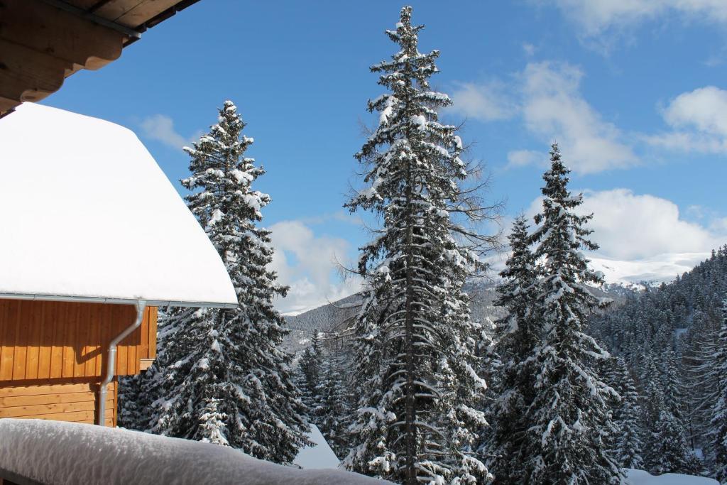 Apartmán Barenhutte Turracher Hohe Exteriér fotografie